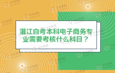 电子商务专业知识考啥