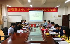 青浦区专业电子商务方案