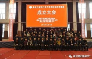 黑龙江电子商务专业学院