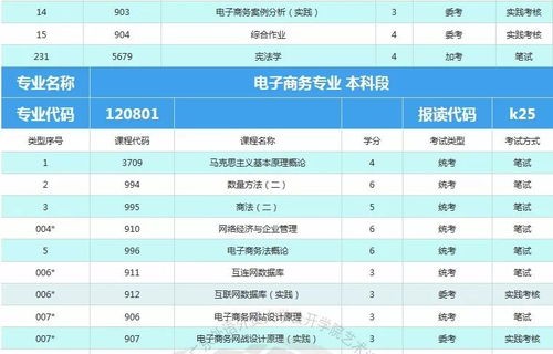 电子商务专业招生人数