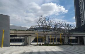 江宁大学城电子商务专业