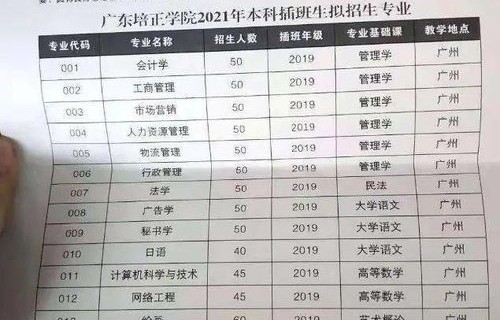 广东电子商务专业专插本