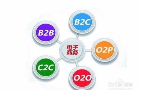 偏大数据的电子商务专业