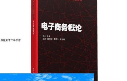 计算机专业电子商务论文