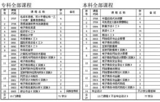 电子商务专业课程目录