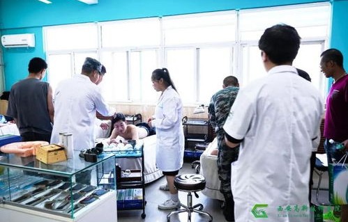 电子商务和影视动画专业