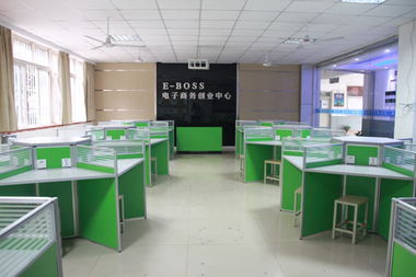 电子商务专业 评工程师