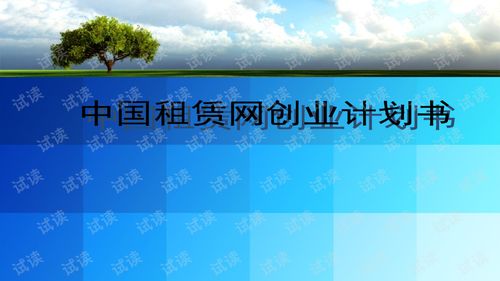 专业电子商务创业计划书