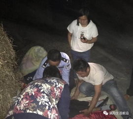洛杉矶抗议现场白发老人无辜遭骑警棍击，引发公众愤怒与反思