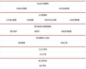 电子商务是啥类别的专业
