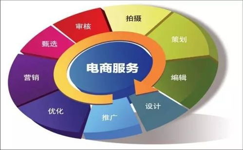 电子商务专业技术类现状