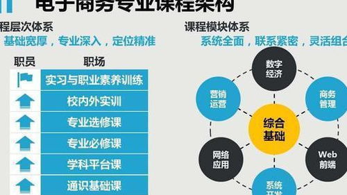 中专电子商务能转专业