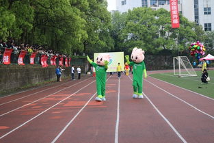 电子商务专业运动会表演
